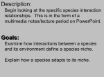 Presentation - Specie Interactions