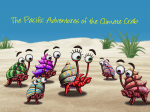 Climate Crab Tool Kit - Slideshow Presentation