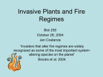 Invasive Plants and Fire Regimes