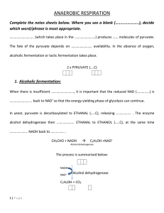 Alcoholic fermentation