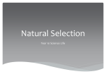 Chapter 3 * Natural selection and Evolution