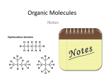 Organic Molecules
