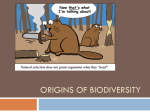 3.2 Origins of Biodiversity - Amazing World of Science with Mr. Green