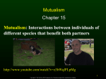Mutualism: Interactions between individuals of