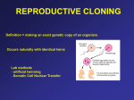 Reproductive Cloning Presentation