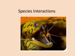Notes - Species Interactions