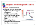 Enzymes - Chemistry@Elmhurst