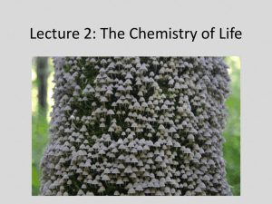 Lecture 2 - The Chemistry of Life