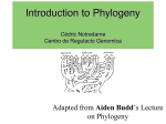 introduction to molecular phylogeny - T
