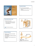 Appendicular Notes