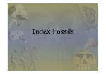 Index Fossils - Hicksville Public Schools