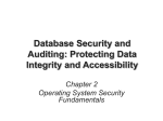 Database Security and Auditing