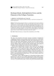 Hydrogen Bonds, Hydrophobicity Forces and the Character of the