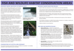 Display Providing Background on Wildlife Habitat