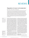 Regulation of cancer cell metabolism