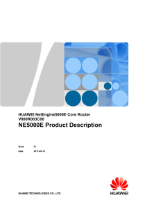 NE5000E Product Description