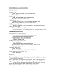 Region 15: Anterior Forearm and Wrist Cutaneous Vessels