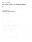 Student Worksheet for Chapter 15: Foot, Ankle, and Lower