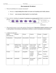 Macromolecules practice worksheet key