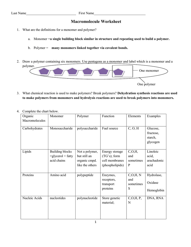 Macromolecules practice worksheet key For Macromolecules Worksheet High School