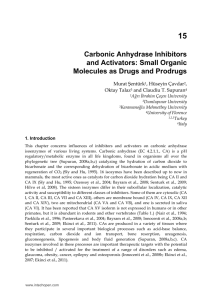 Carbonic Anhydrase Inhibitors and Activators: Small