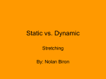 Static vs. Dynamic