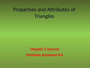 Journal 5 christian aycinena