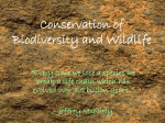 Conservation of Biodiversity and Wildlife