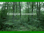 Ecological Succession:
