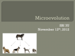 Microevolution