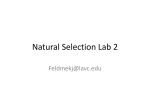 Natural Selection Lab 2