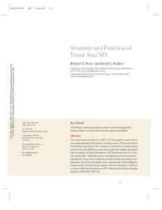 STRUCTURE AND FUNCTION OF VISUAL AREA MT