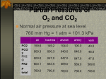 Partial Pressures of O2 and CO2