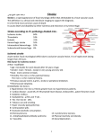 2.Middle cerebral artery