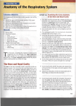 Anatomy of the Respiratory System