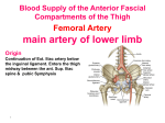 adductor canal