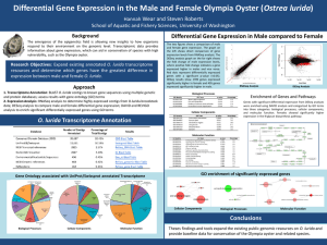 Differential Gene Expression in the Male and Female Olympia Oyster