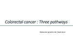 Colorectal cancer : Three pathways