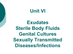 Unit VI Exudates Sterile Body Fluids Genital Cultures Sexually