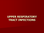 upper respiratory tract infections