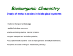 Lecture 5-Bioinorganic Chemistry