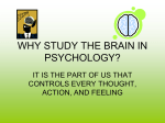 WHY STUDY THE BRAIN IN PSYCHOLOGY?