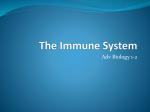 The Immune System - San Diego Unified School District