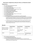 Body Systems Worksheet Answers