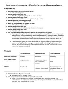 Body Systems Worksheet Answers