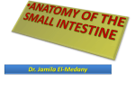 5-ANATOMY OF SMALL INTESTINE