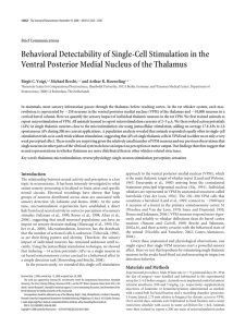 Behavioral Detectability of Single-Cell Stimulation in the Ventral