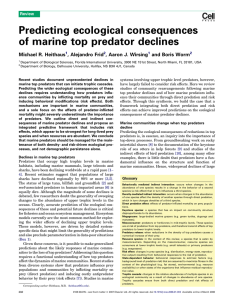 Predicting ecological consequences of marine top predator