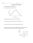 Enzyme Activity Worksheet