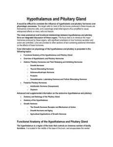 Hypothalamus and Pituitary Gland